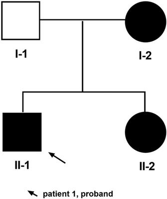 Case report: A novel mutation in TRPS1 identified in a Chinese family with tricho-rhino-phalangeal syndrome I: A therapeutic challenge